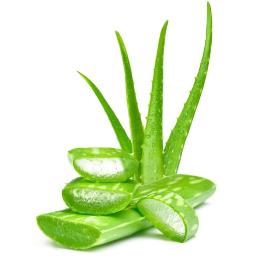 FRISCO ORGANIC Aloes świeży BIO