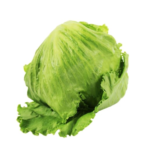 FRISCO ORGANIC Sałata lodowa BIO